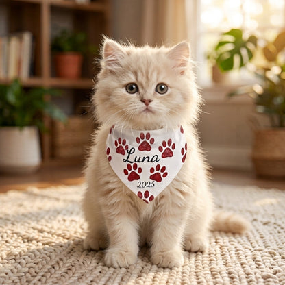 Envia Pet ID '' Mio MiO ''