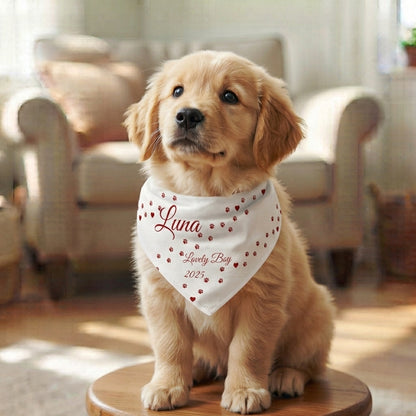 Envia Pet ID '' Mia MiO ''